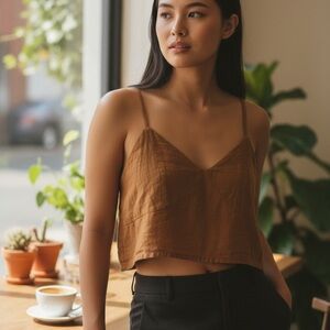 Japna Brown Crop Top